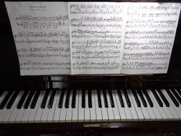 Bravura Waltz by Liszt over the Petrov piano